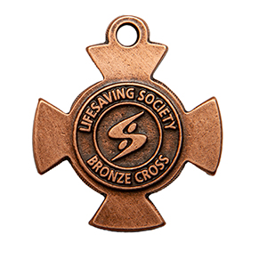 Bronze Cross 291