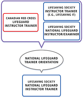 Pathway-LgIT-LSIT-NLIE-NLIT-EN-291