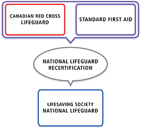 Pathway-Lifeguard-SFA-NL-EN-291